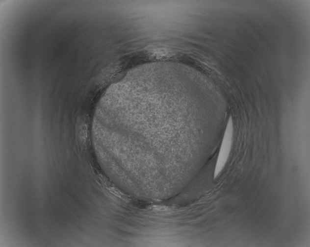 X0000067500417200604211730