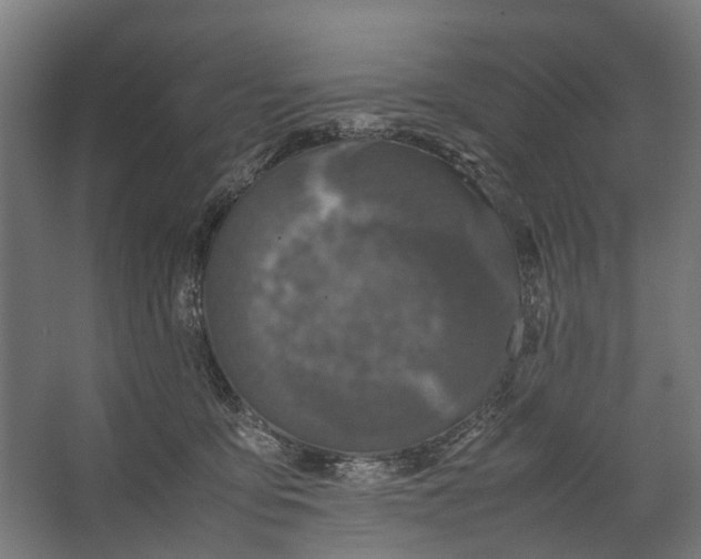 X0000067500419200604211730