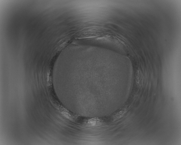 X0000067500420200604211730