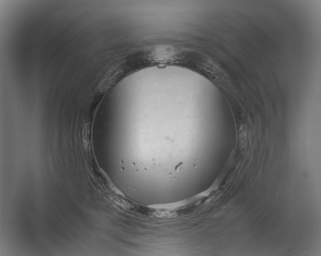 X0000067500421200604211730