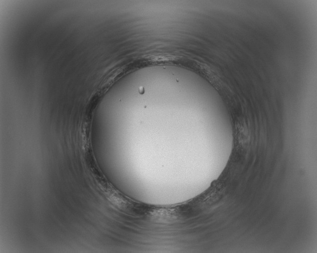 X0000067500422200604211730