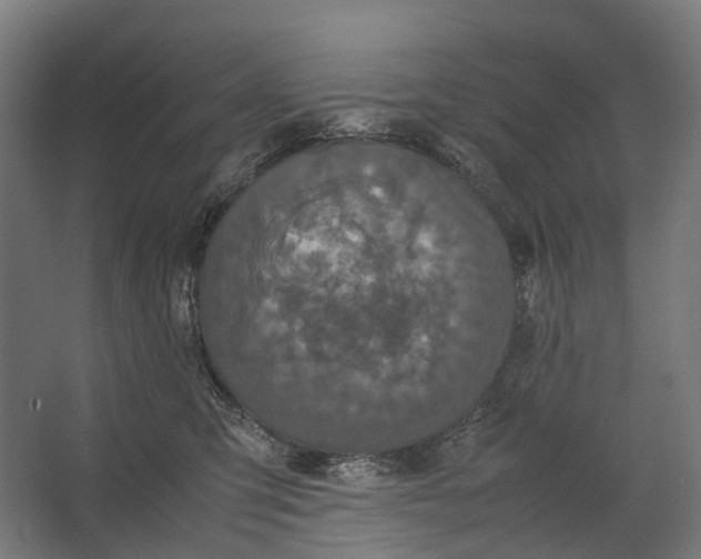 X0000067500423200604211730