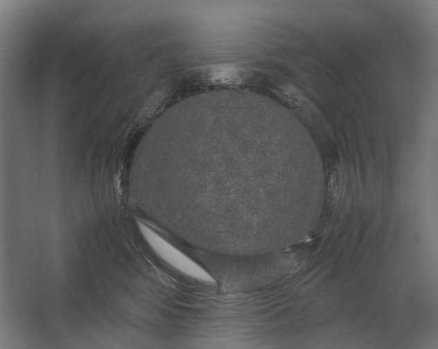 X0000067500424200604211730