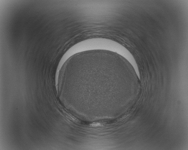 X0000067500425200604211730