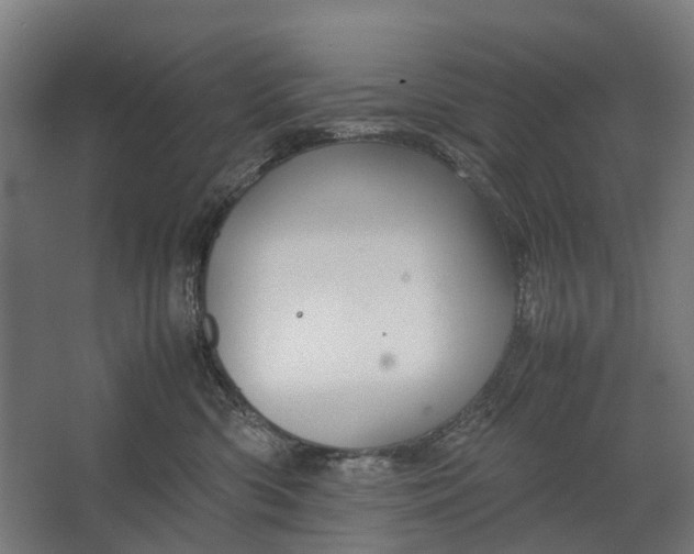 X0000067500426200604211730