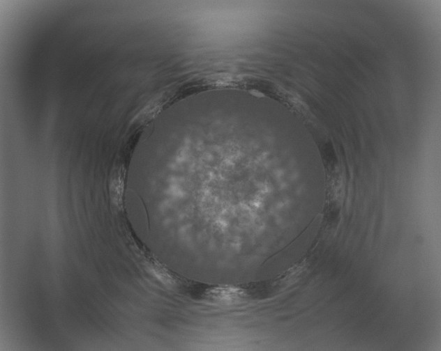 X0000067500427200604211730