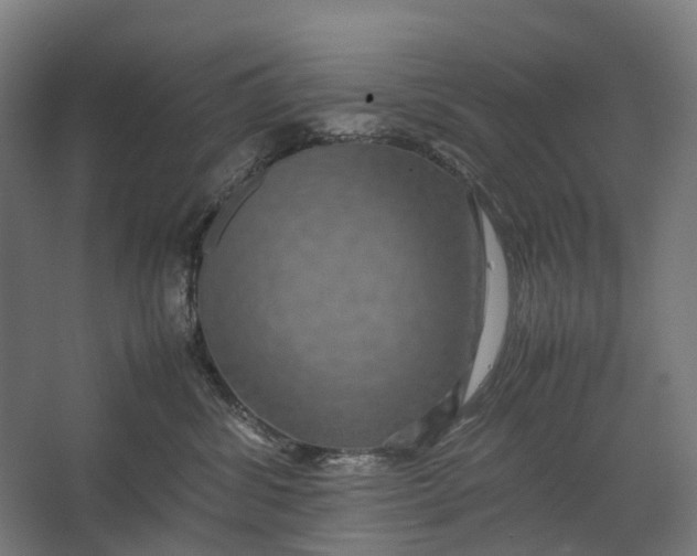 X0000067500428200604211730