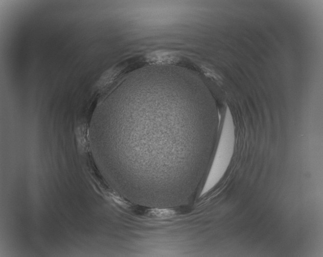 X0000067500429200604211730