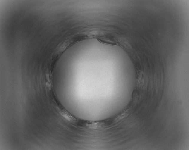 X0000067500430200604211730