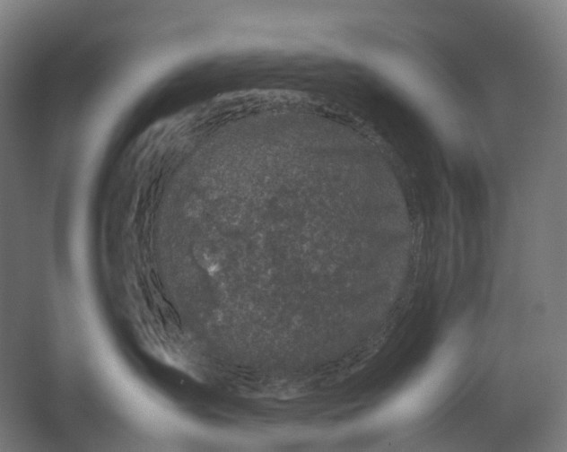 X0000067500431200604211730