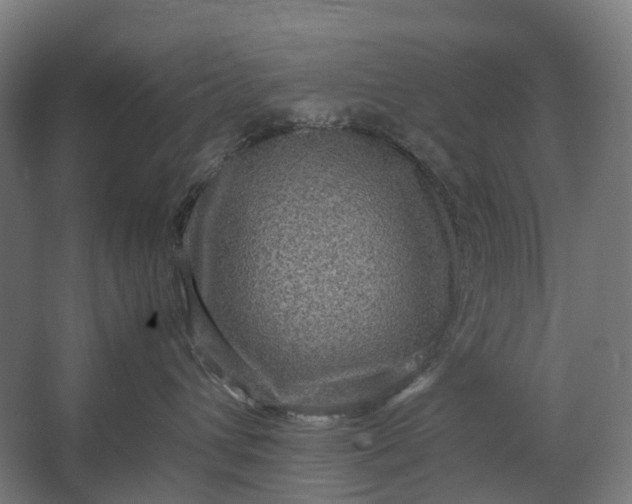 X0000067500432200604211730