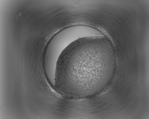 X0000067500433200604211729