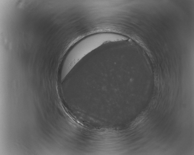 X0000067500434200604211729