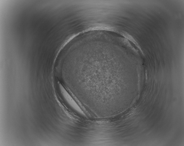 X0000067500436200604211729