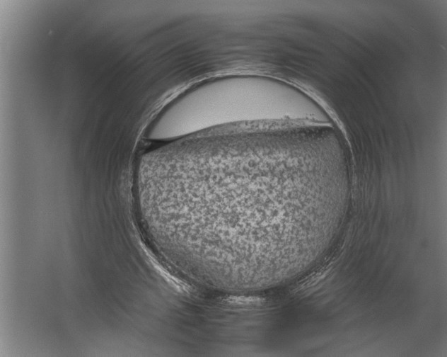 X0000067500437200604211729