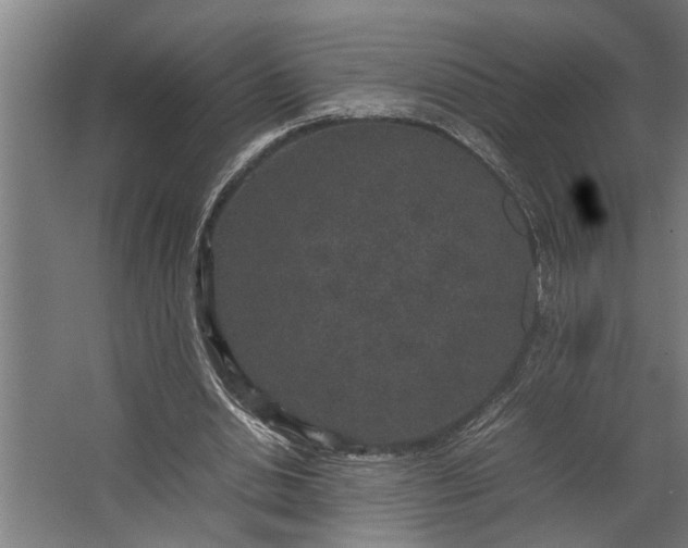 X0000067500438200604211729