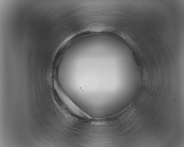 X0000067500440200604211729