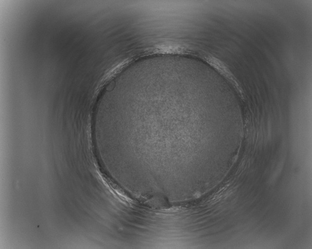 X0000067500442200604211729