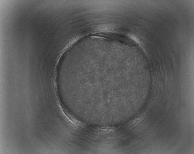 X0000067500443200604211729