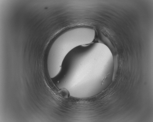 X0000067500444200604211729