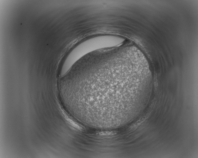 X0000067500445200604211729