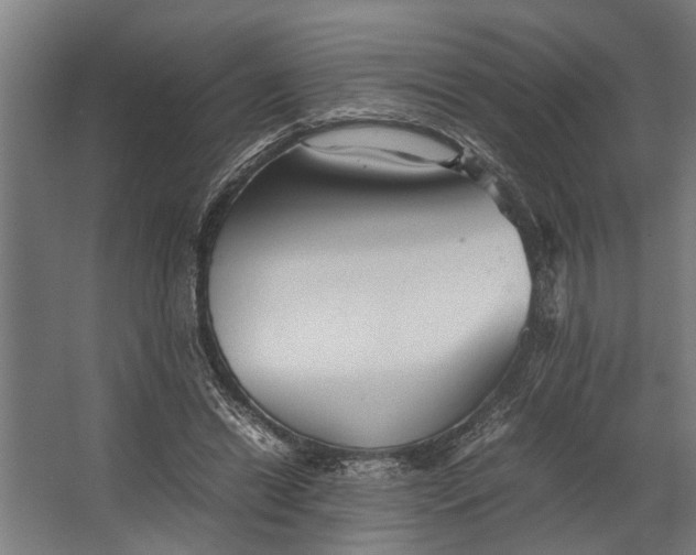 X0000067500446200604211729