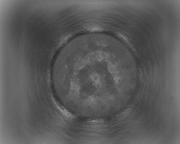 X0000067500447200604211729