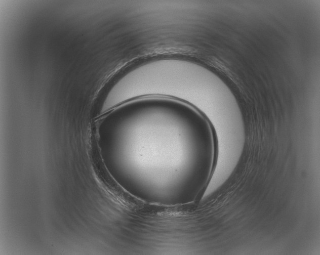 X0000067500448200604211729