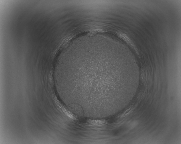 X0000067500449200604211729