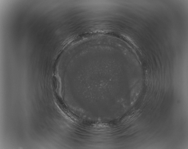 X0000067500451200604211729