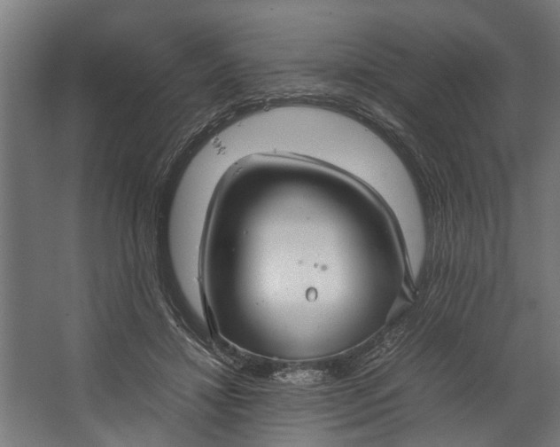 X0000067500452200604211729