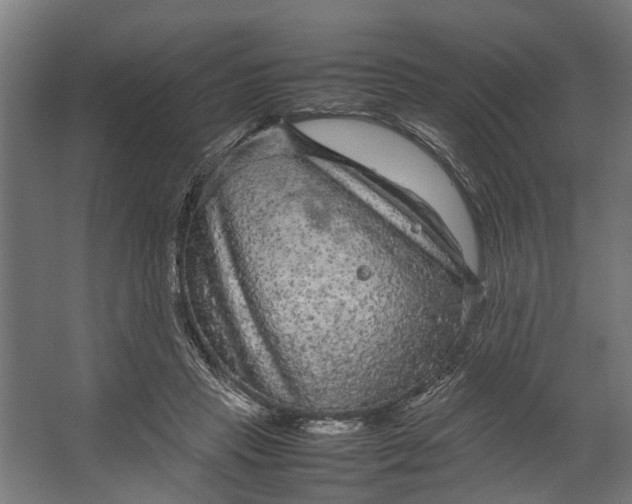 X0000067500453200604211729