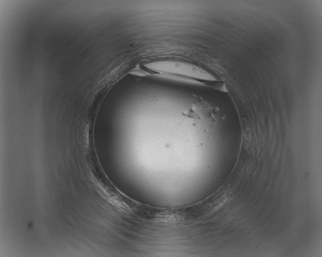 X0000067500454200604211729