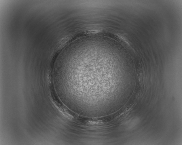 X0000067500455200604211729