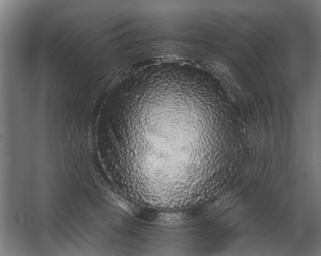 X0000067500457200604211729