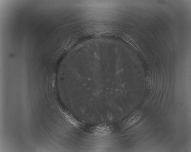 X0000067500458200604211729