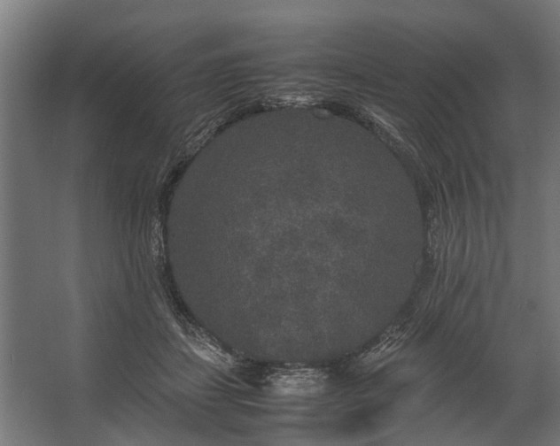 X0000067500459200604211729