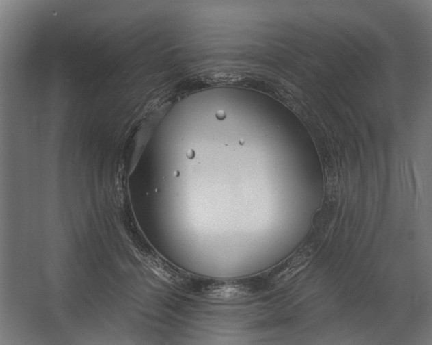 X0000067500460200604211729