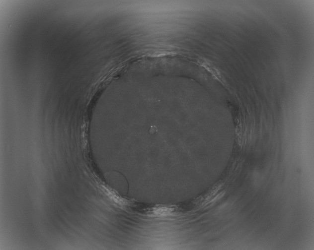 X0000067500462200604211729