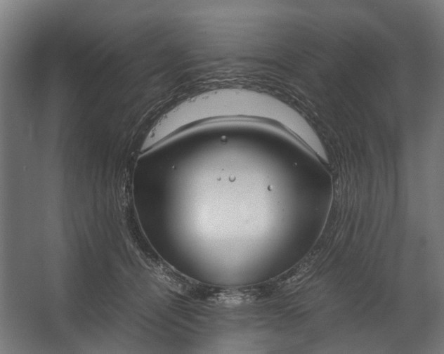 X0000067500464200604211729