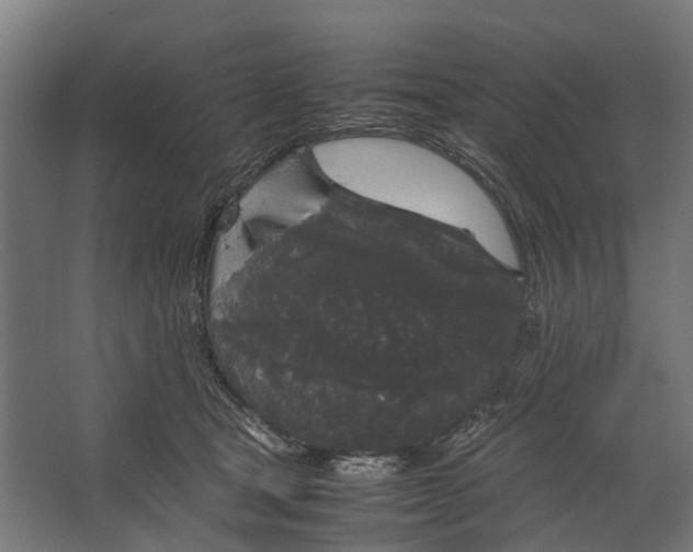 X0000067500465200604211729