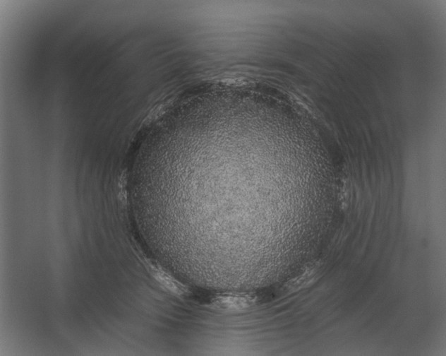 X0000067500466200604211729