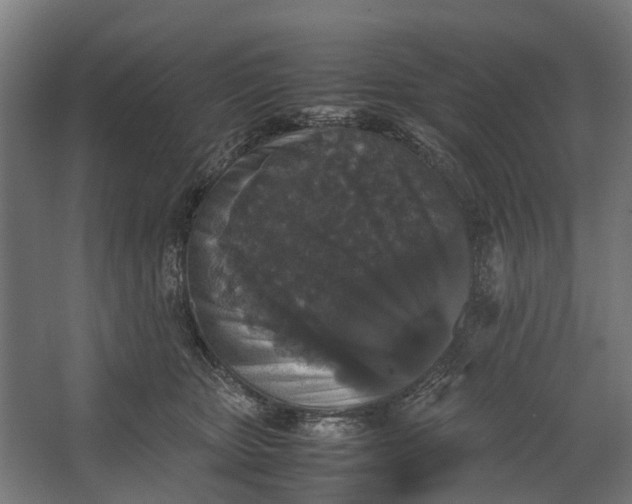 X0000067500467200604211729