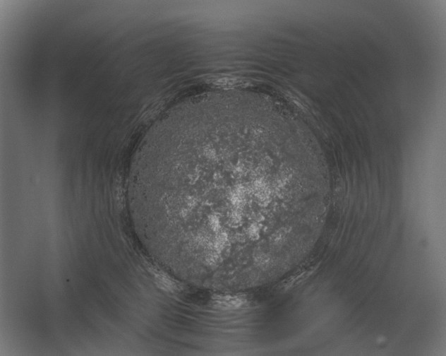 X0000067500469200604211729