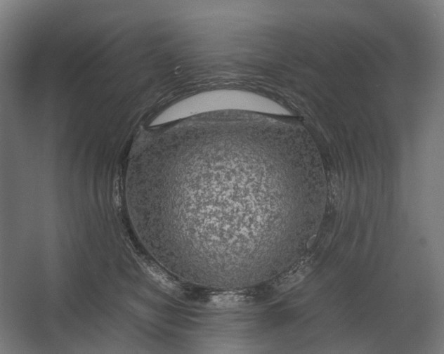 X0000067500470200604211729