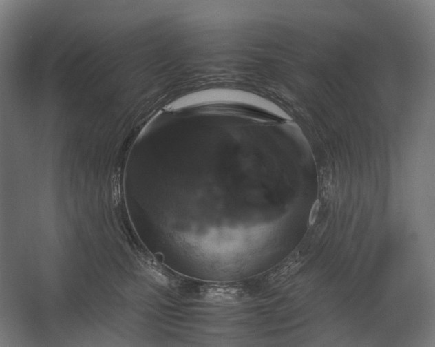 X0000067500471200604211729