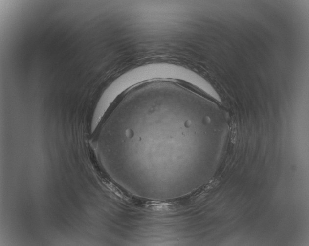 X0000067500472200604211729