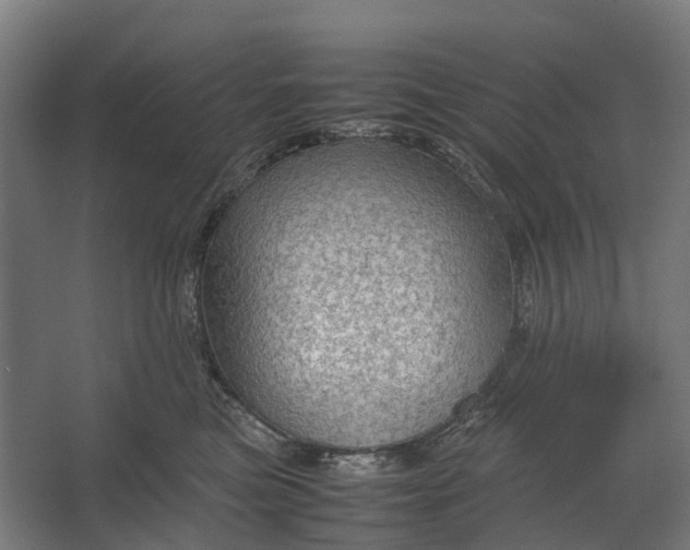 X0000067500473200604211729