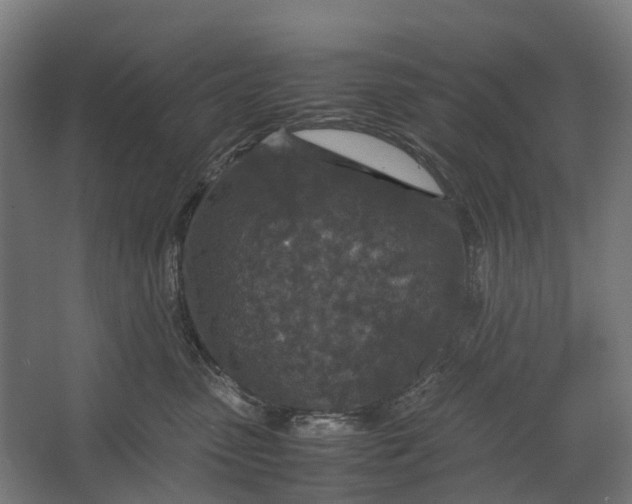 X0000067500475200604211730