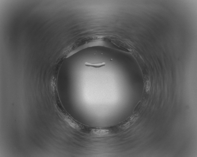 X0000067500476200604211730